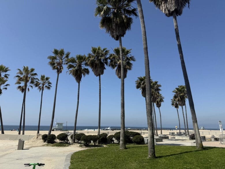 Plage de Venice Beach avec palmiers, sable blanc et cabane de sauveteur face à l’océan Pacifique