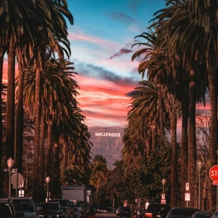 Coucher de soleil sur Hollywood à Los Angeles avec palmiers et enseigne emblématique