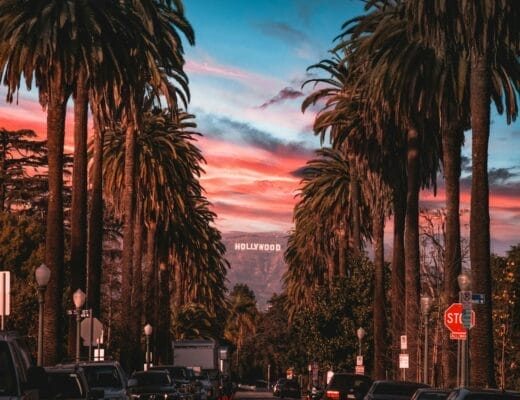 Coucher de soleil sur Hollywood à Los Angeles avec palmiers et enseigne emblématique