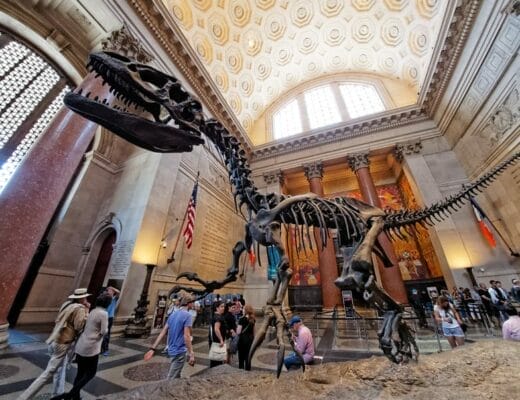 Squelette de dinosaure dans le hall d’entrée du Muséum d’Histoire Naturelle de New York