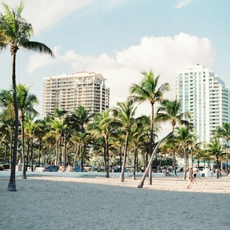 palm trees near buildings