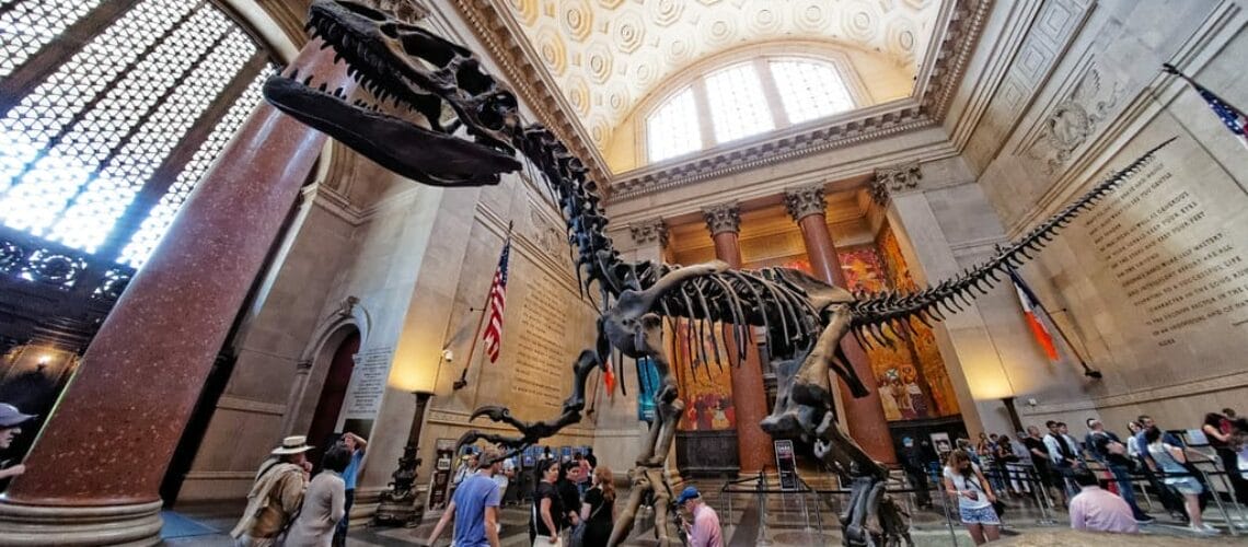 Squelette de dinosaure dans le hall d’entrée du Muséum d’Histoire Naturelle de New York